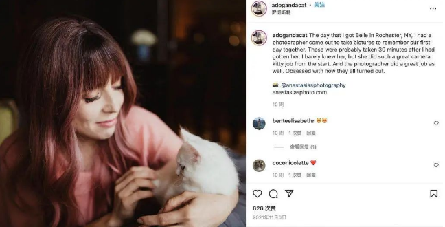 自私還是延續愛？ Instagram 博主克隆寵物惹爭議