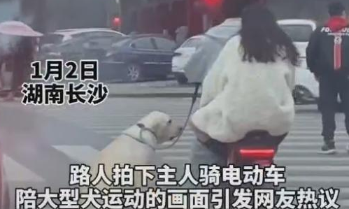 主人騎電動車溜大型犬，拍攝者：“感覺特別暖心”