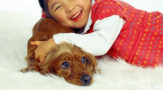 陪伴小女孩一起成長的狗狗，不僅是靠枕還是畫板，更是親密的伙伴